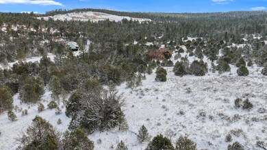 12 Moot Ct, Cedro, NM 87059 - photo 5