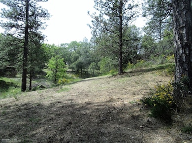 24271 Hoyt Crossing Rd, North San Juan, CA 95960 - photo 6