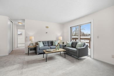 6317 83rd Ct N, Brooklyn Park, MN 55445 - photo 6