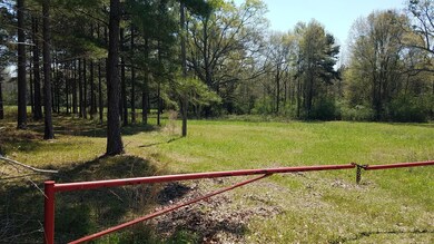 2220 Mill Creek Rd, Laurel, MS 39443 - photo 3