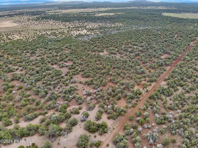 11189 Huckleberry Rd, Ash Fork, AZ 86320 - photo 4