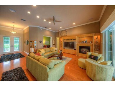 13010 McIntosh Lakes Ln, Dover, FL 33527 - photo 4