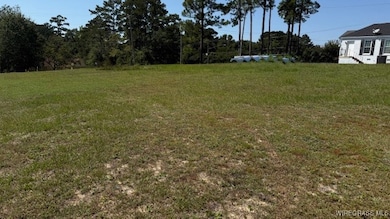 Viewing from the Top of the Property