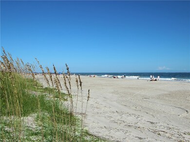 Beach at Folly Field