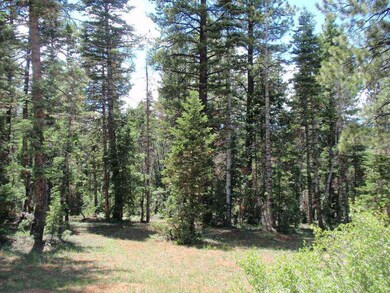 Natural open areas
