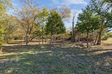 Beautiful trees in back of lot