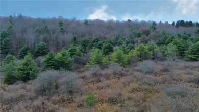 296 Hugg Rd, Elmira, NY 14901 - photo 3