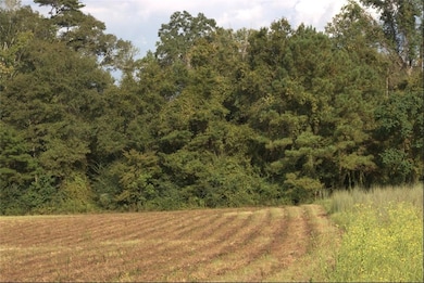 0 Lonnie Duncan Rd, Mount Hermon, LA 70450 - photo 4