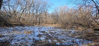 Parcel 3 Willow Rd NE, Carlos, MN 56319 - photo 4