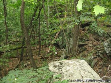 00 W Saugerties Woodstock Rd, Woodstock, NY 12498 - photo 3