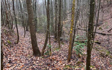 0 Hancock Dr unit 323119, Ellijay, GA 30540 - photo 3