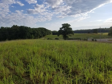 859 Greystone Dr unit 13, Chelsea, MI 48118 - photo 7