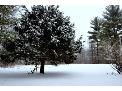 Cross Country Ski-Snowshoe from your Patio!