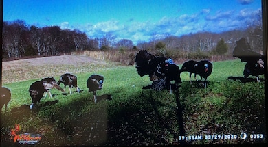 9 Coon Hollow Rd, Blue Creek, OH 45616 - photo 3