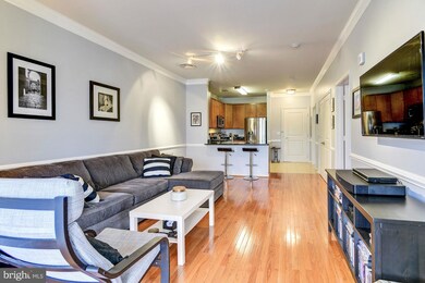 8045 Newell St unit 423, Silver Spring, MD 20910 - photo 7