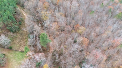 Lot 41 Oneal Rd, Champlain, VA 22438 - photo 6