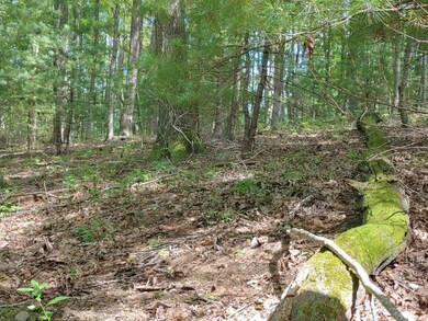 0904201343_HDR