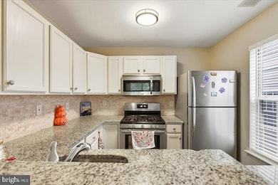 8815 Stone Ridge Cir unit 202, Pikesville, MD 21208 - photo 5