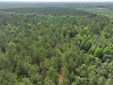 Ms-46, Mantee, MS 39751 - photo 7