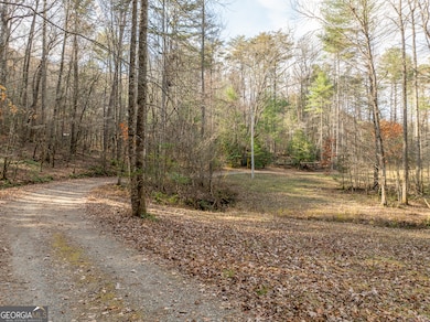 789 Jolley Way, Epworth, GA 30541 - photo 7