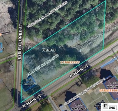 108 N Main St, Homer, LA 71040 - photo 2