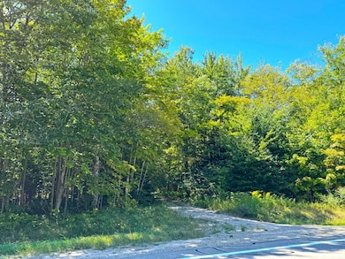 5146 Michigan 123 unit 5146, Eckerman, MI 49728 - photo 2