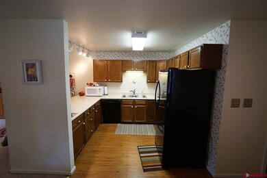 114 Camino Del Rio unit 26, Gunnison, CO 81230 - photo 7