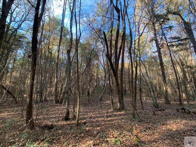 6207 Chaparral St, Texarkana, TX 75503 - photo 5