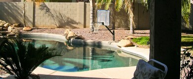pool back