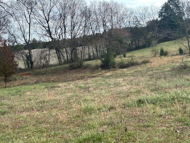 2700 Girkin Rd, Bowling Green, KY 42101 - photo 5