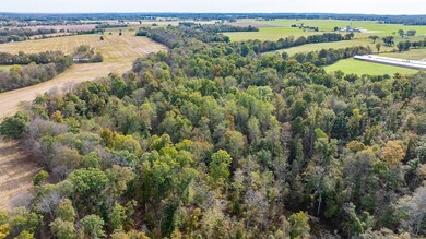 3301 Allegre Rd, Elkton, KY 42220 - photo 7