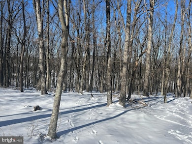 31 Turnberry Ln, Hazle Township, PA 18202 - photo 7