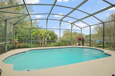 Screened Pool with Tropical Foliage