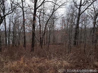 29991 & 29992 Guccione Place, Union Township, MO 65326 - photo 5