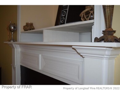 Shelves For Electronics