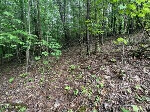 0 River Front Dr unit RTC2513639, Sparta, TN 38583 - photo 5