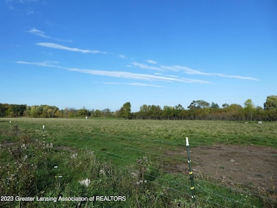 Former Cattle Pasture 1