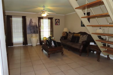 313 N Arkansas St, Springhill, LA 71075 - photo 3