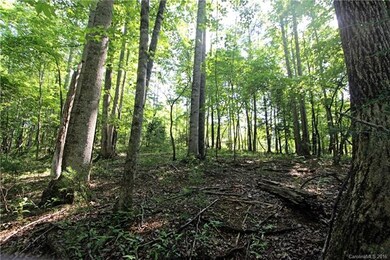 48 Shenandoah Rd unit 48, Lake Lure, NC 28746 - photo 2