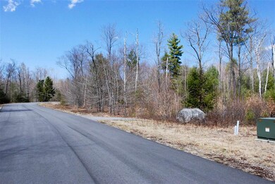 98 Grandview Rd, Conway, NH 03860 - photo 2