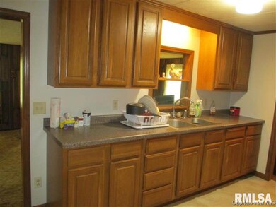 1711 Mount Zion Rd, Jacksonville, IL 62650 - photo 6