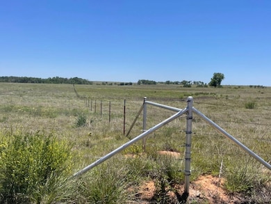 N176 E147-Tract4, Vinson, OK 73571 - photo 4