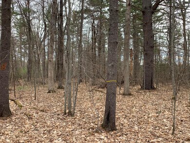 18 Mud Pond Rd, Windham, ME 04062 - photo 2