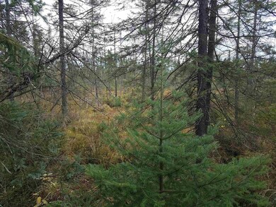 0 Wilson School Rd, Tomahawk, WI 99999 - photo 2