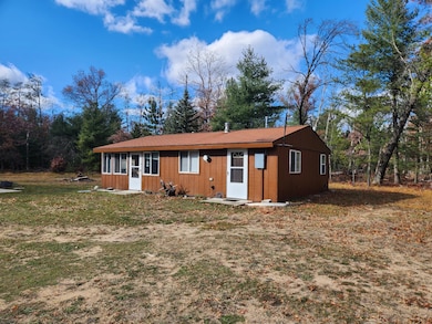 9279 S Forman Rd, Baldwin, MI 49304 - photo 2