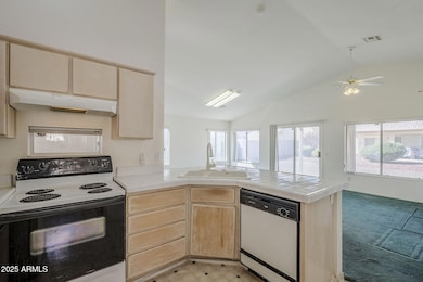 13-web-or-mls-Verde-13