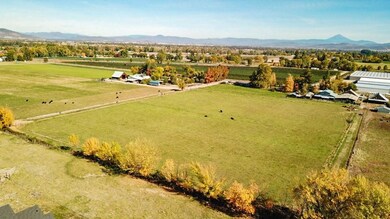 IMG_1778