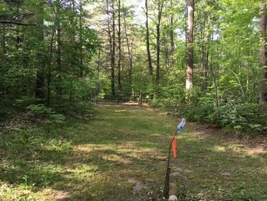 Gate to trails