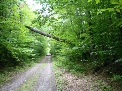 Road View Towards Cone Rd.