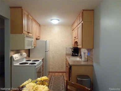 Babcock Cooperative unit 406, Royal Oak, MI 48073 - photo 7